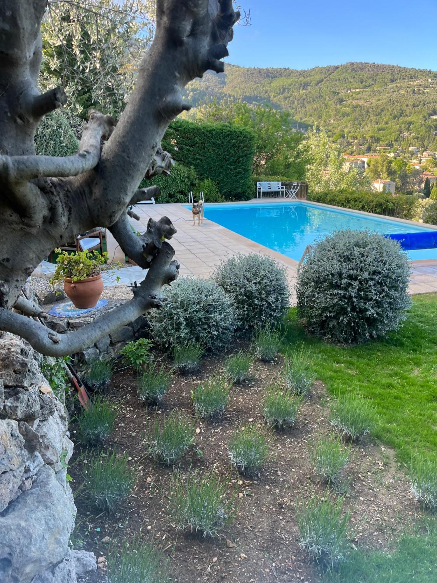 Villa Magnolia Seillans Kültér fotó